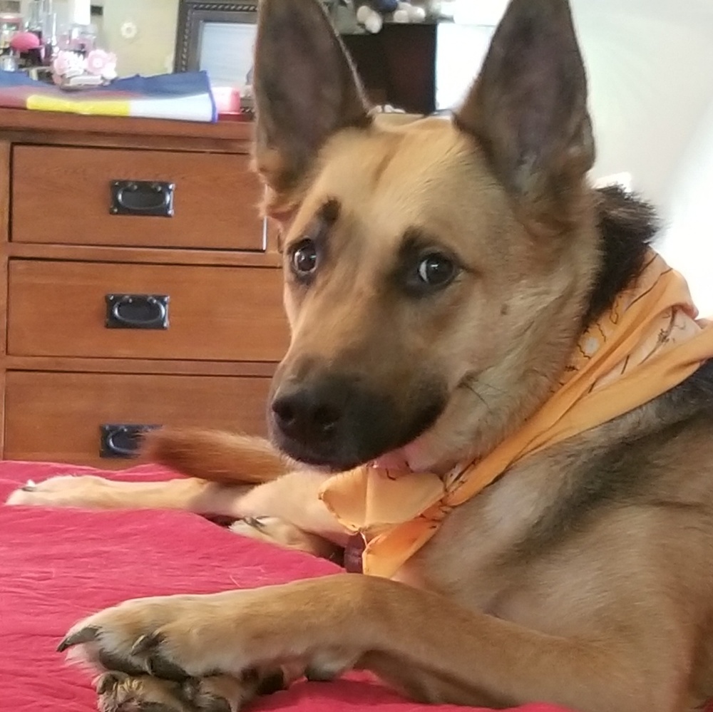 Meet your Posher, Kristina